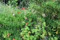 milj_029