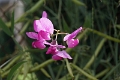 04_chatelaudrin_002