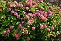 04_chatelaudrin_003
