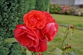 04_chatelaudrin_004
