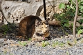 04_chatelaudrin_006