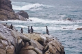 19_7_iles_081