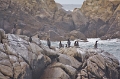 19_7_iles_082