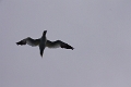 19_7_iles_092