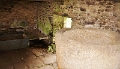 24_kanndi_005