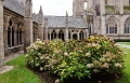 27_treguier_044