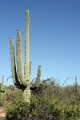 01_sur_la_route_002
