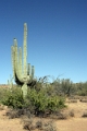 01_sur_la_route_004
