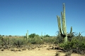 01_sur_la_route_006