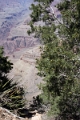 02_grand_canion_019