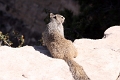 02_grand_canion_063