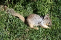 02_grand_canion_067