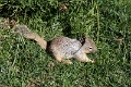 02_grand_canion_068