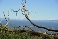 06_sur_la_route_016