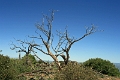 06_sur_la_route_020