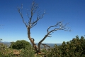 06_sur_la_route_021
