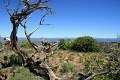06_sur_la_route_023