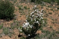 06_sur_la_route_025