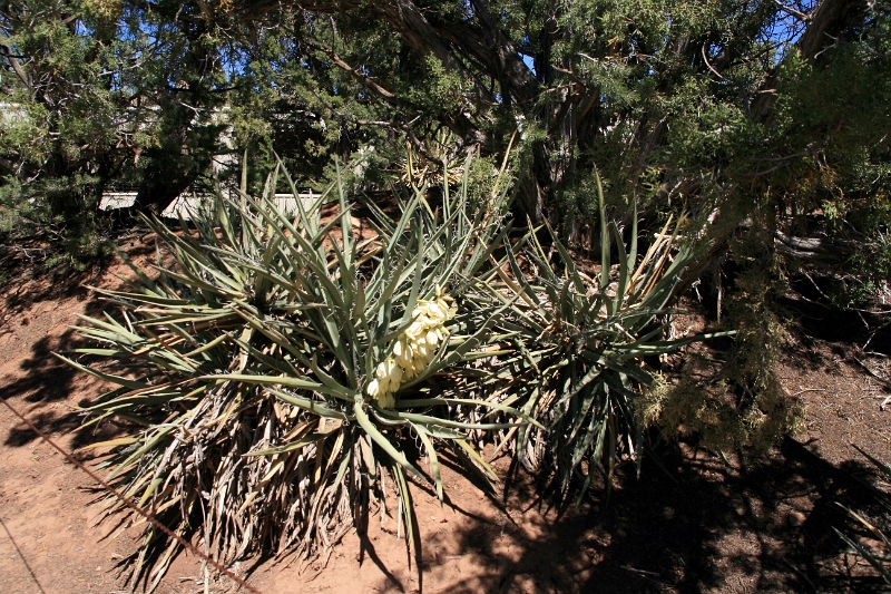 07_mesa_verde_036.jpg
