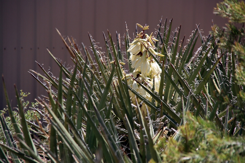 07_mesa_verde_044.jpg