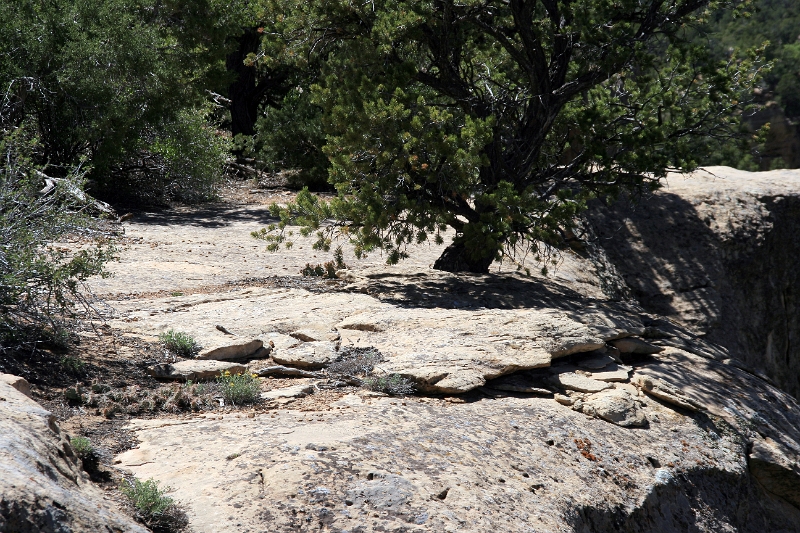 07_mesa_verde_056.jpg