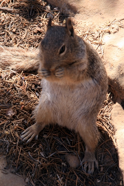 07_mesa_verde_060.jpg