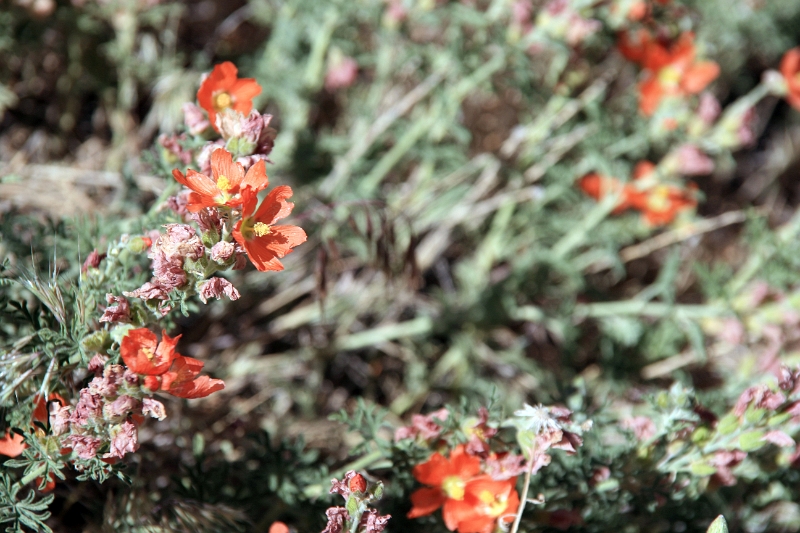 07_mesa_verde_081.jpg
