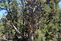 07_mesa_verde_024