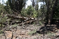 07_mesa_verde_025