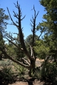 07_mesa_verde_027