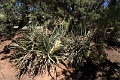 07_mesa_verde_036