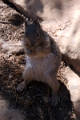 07_mesa_verde_059