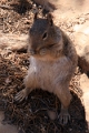 07_mesa_verde_060