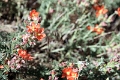 07_mesa_verde_081
