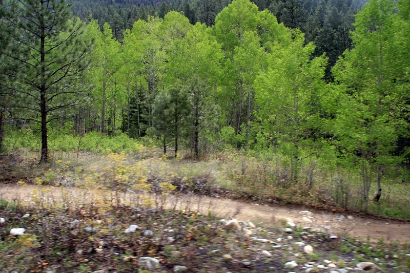 08_durandon_silverton_101.jpg