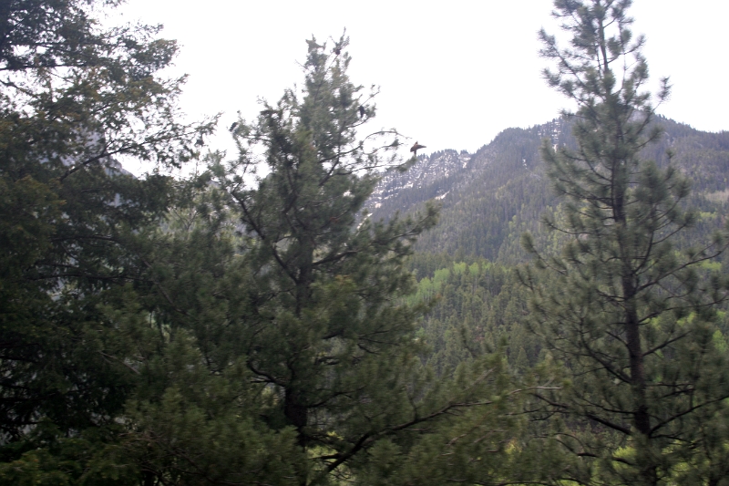 08_durandon_silverton_114.jpg