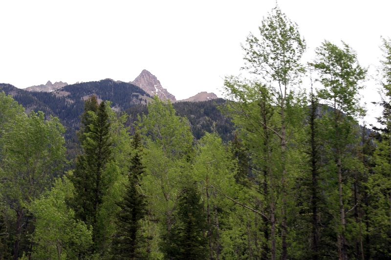 08_durandon_silverton_118.jpg