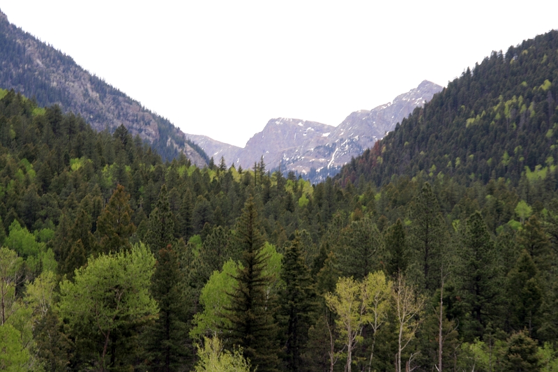 08_durandon_silverton_123.jpg