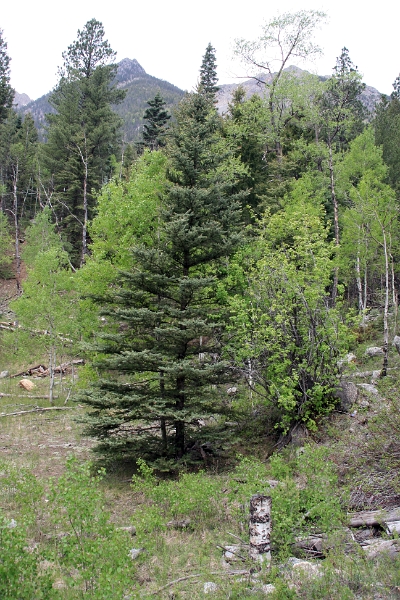 08_durandon_silverton_134.jpg