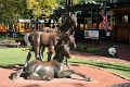 08_durandon_silverton_005