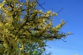 08_durandon_silverton_008