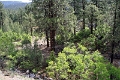 08_durandon_silverton_060
