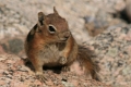08_durandon_silverton_097