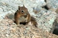 08_durandon_silverton_098