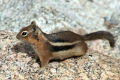 08_durandon_silverton_099