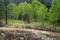 08_durandon_silverton_101