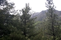 08_durandon_silverton_114