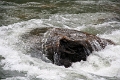 08_durandon_silverton_129