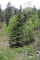08_durandon_silverton_134