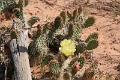 09_canionsland_005